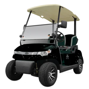 Star EV Capella 2 - 2 seater