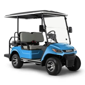 Advanced EV Advent 4 Click - 4 seater